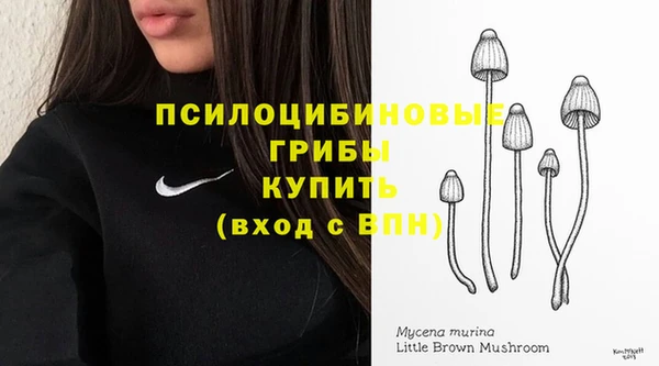 стаф Абдулино