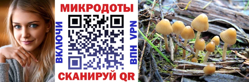 Псилоцибиновые грибы GOLDEN TEACHER  Магнитогорск 